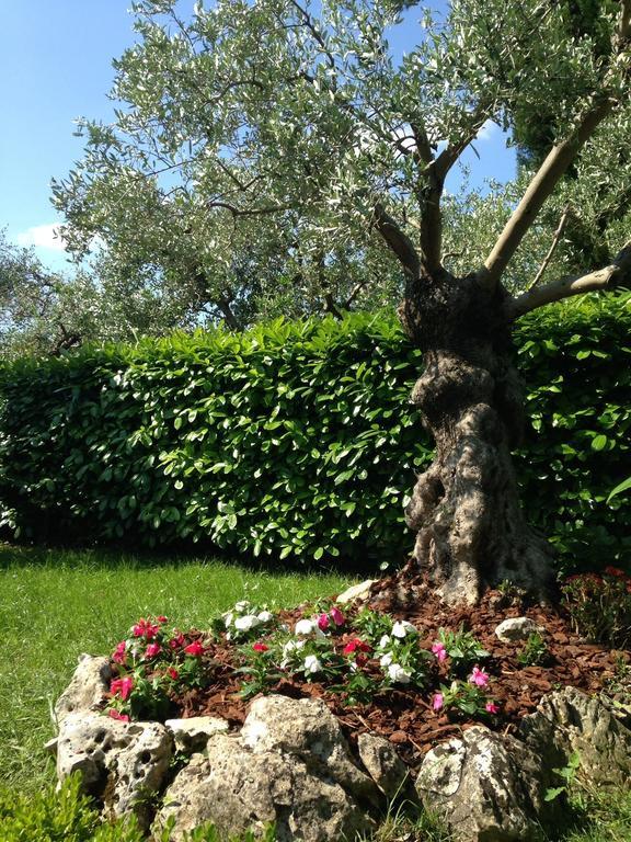 Da Debbie San Giovanni In Marignano Δωμάτιο φωτογραφία